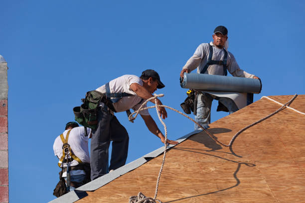 Best Roof Maintenance Services  in Harsville, RI
